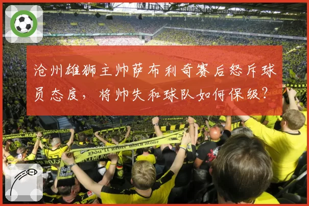 沧州雄狮主帅萨布利奇赛后怒斥球员态度，将帅失和球队如何保级？