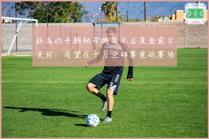 林高远手腕韧带撕裂术后复查愈合良好，有望在十月全锦赛重返赛场