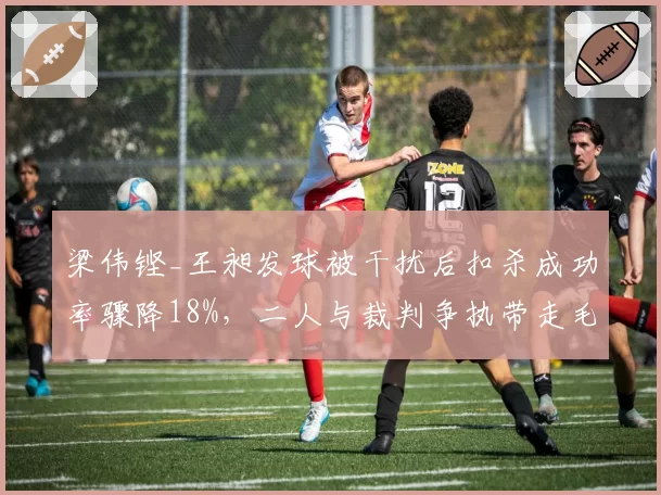 梁伟铿_王昶发球被干扰后扣杀成功率骤降18%,二人与裁判争执带走毛巾遭罚款热议