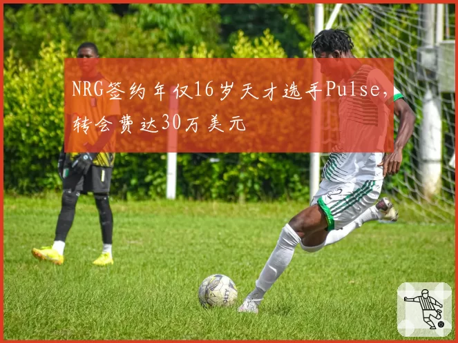 NRG签约年仅16岁天才选手Pulse,转会费达30万美元